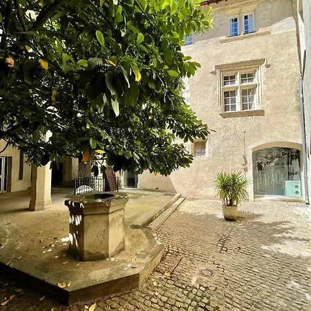 Aux Pieds Du Palais Des Papes.